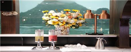 Du Ngoạn Vịnh Hạ Long 1 ngày trên du thuyền Catamaran